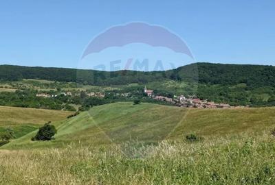 Teren în Bunești - 8