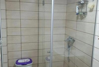 Casă cu 7 camere în Făget - 13