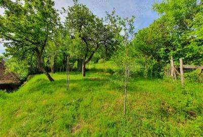 Vind Casa Mare La ?ara Sau Schimb cu Apartament sau 2 Garsoniere in Sibiu - 2