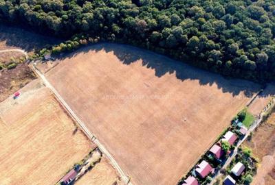 OCAZIE!!! Teren lipit de padure cu acces foarte facil la DN1 - 3