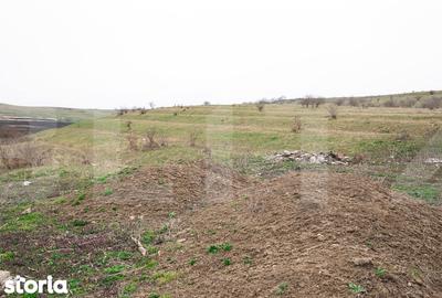 Teren de 5800 mp, în Apahida - 1