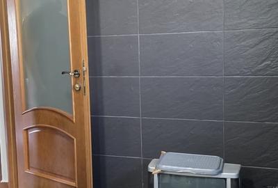 Vila de vanzare cu teren generos zona Ciolpani - 26