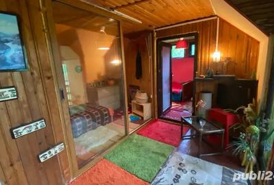 Cabana de vanzare - 4