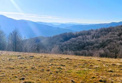 22.206 mp (2,2 Ha) TEREN INTRAVILAN SUPERB CU PEISAJ PANORAMIC, NEGRENI - CLUJ - 6