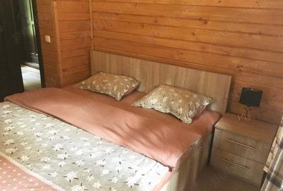 Casa din grinzi pe marginea paraului Borzont - 2