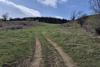 Teren intravilan la baza pădurii Valea Doftanei sat Traisteni (poduri) - 12