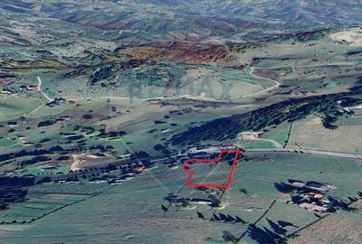 Teren de vis in Fundata 3868mp, la inaltimea sufletului tau - 4
