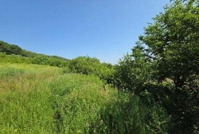 Teren de 2300 mp, în Duda - 2