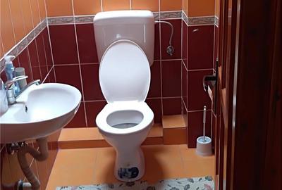 Casă cu 3 camere în Sovata - 2