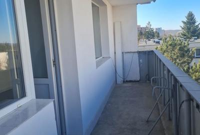 Apartament cu 2 camere în Dâmbu Pietros - 3
