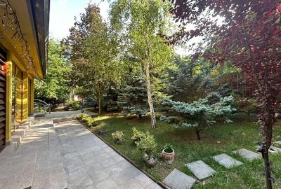 Vila de lux cu piscina interioara Copou-Agronomie - 4
