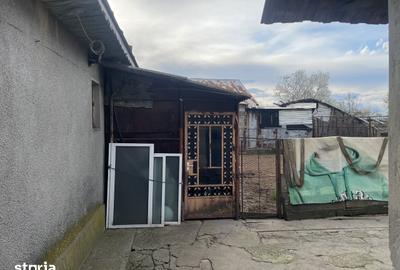 Casă cu 3 camere cu Teren 5239 Mp în Brazi - 9
