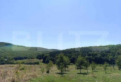 Teren de 10200 mp, în Dej - 3