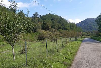 Teren de 7000 mp, în Voia - 8