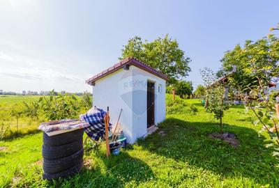 Casă cu 3 camere cu Teren 1732 Mp în Merișor - 13