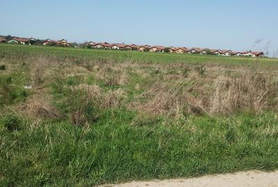 Teren Construcții intravilan de 500 mp, în Paleu