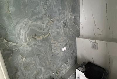 Triplex superb cu 3 apartamente individuale pe 2 nivele P+1+2E in Bucurestii Noi Triplex superb cu 3 apartamente individuale pe 2 nivele P+1+2E in Bucurestii Noi - 14