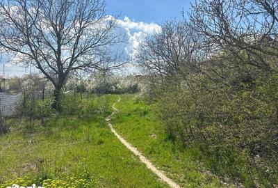 Teren de 1155 mp, în Giurgiului - 3