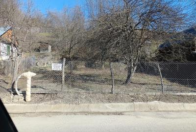 Teren de 1599 mp, în Nistorești - 2