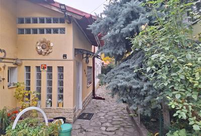 Casa Bartolomeu, pe doua nivele, stil deosebit, curte comuna - 3