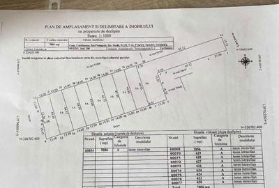 Spațiu comercial, în Proaspeți - 2