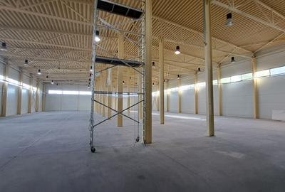 HALA DEPOZITARE CU ETAJ PARTIAL PENTRU BIROURI AMPLASAMENT: OTOPENI - 35