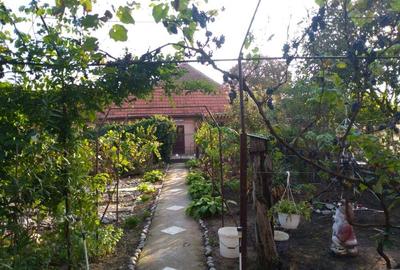 Casă în Berecuța - 5