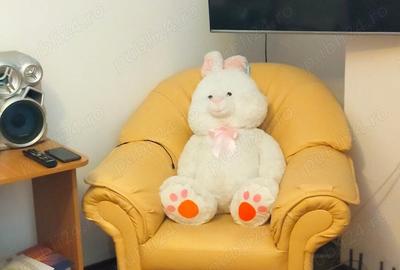 Apartament cu 2 camere decomandat în 9 Mai - 5