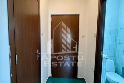 Apartament cu 2 camere semidecomandat, mobilat în Tipografilor - 9