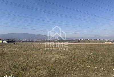 Spațiu comercial, în Central