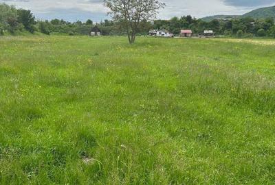 Teren de 8000 mp, în Exterior Vest - 1