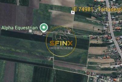 Spațiu comercial, în Tărtășești - 6