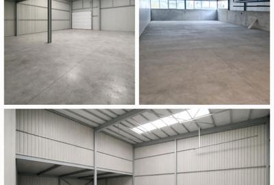 Spațiu industrial, în Sud-Vest - 3