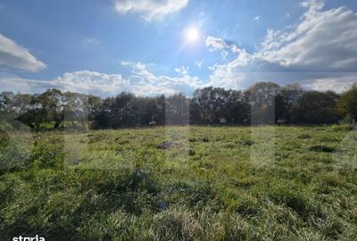 Spațiu comercial, în Sălicea - 3