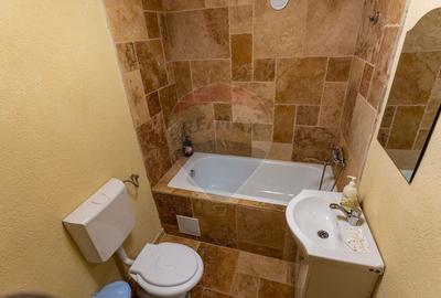 Casă individuală cu 3 camere cu Teren 2497 Mp în Central - 10