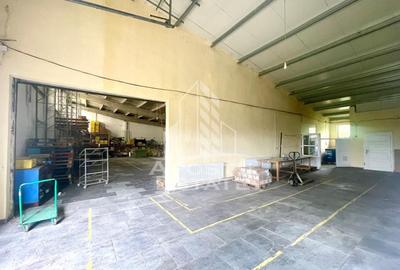 Spatii productie si depozitare, zona Sebis - Prunisor-Carand - 5