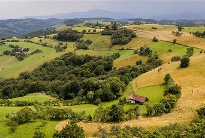 10.335 mp + imobil, splendoare si regasire in mijlocul naturii, Poiana Marului - 5