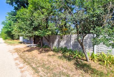 Casă individuală cu 3 camere cu Teren 3287 Mp în Urlueni - 3