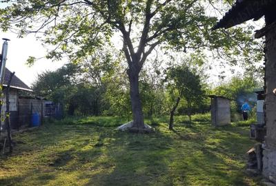 Vanzare teren si casa batraneasca in Dumbravesti, Prahova - 2