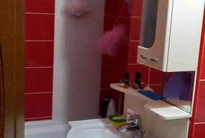 Garsonieră decomandată în Craiovița Nouă - 10