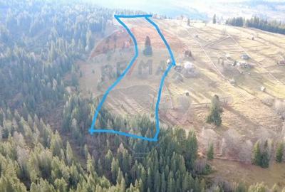 Teren Construcții intravilan de 26232 mp, în Dorna-Arini - 1