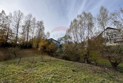 Teren de Vis in Bran - 1000mp Plat, Liniste Absoluta si Aer Curat - 16