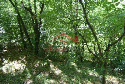 Teren de 2276 mp, în Vest - 2