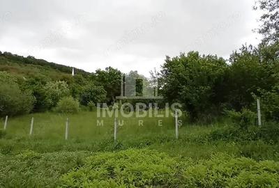 Teren de 994 mp, în Budiu Mic - 6