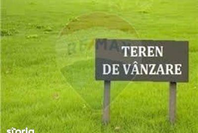 Teren de 33963 mp, în Nord - 6