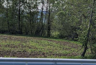 Teren în Copăcel - 1