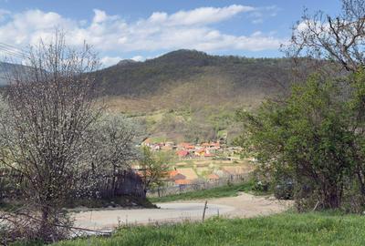 Spațiu comercial, în Tău - 3