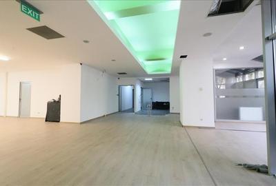 Spatiu Comercial Nicolina 330 mp - 3