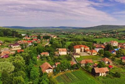 Teren de 5800 mp, în Borșa - 4
