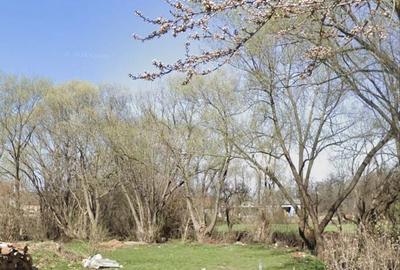 Spațiu comercial, în Vulcan - 6